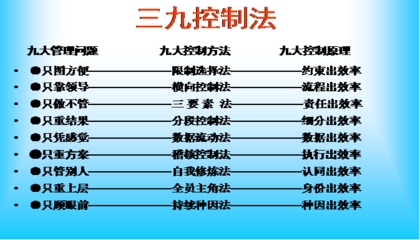 赢在执行：制造型企业精益变革的驻厂式实践